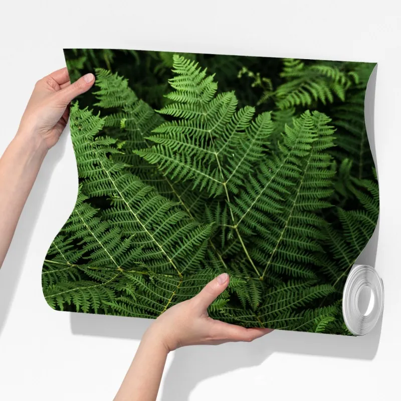 Fototapeta bujna zielona paproć – Wallissimo® Fototapeta bujna zielona paproć – Wallissimo®