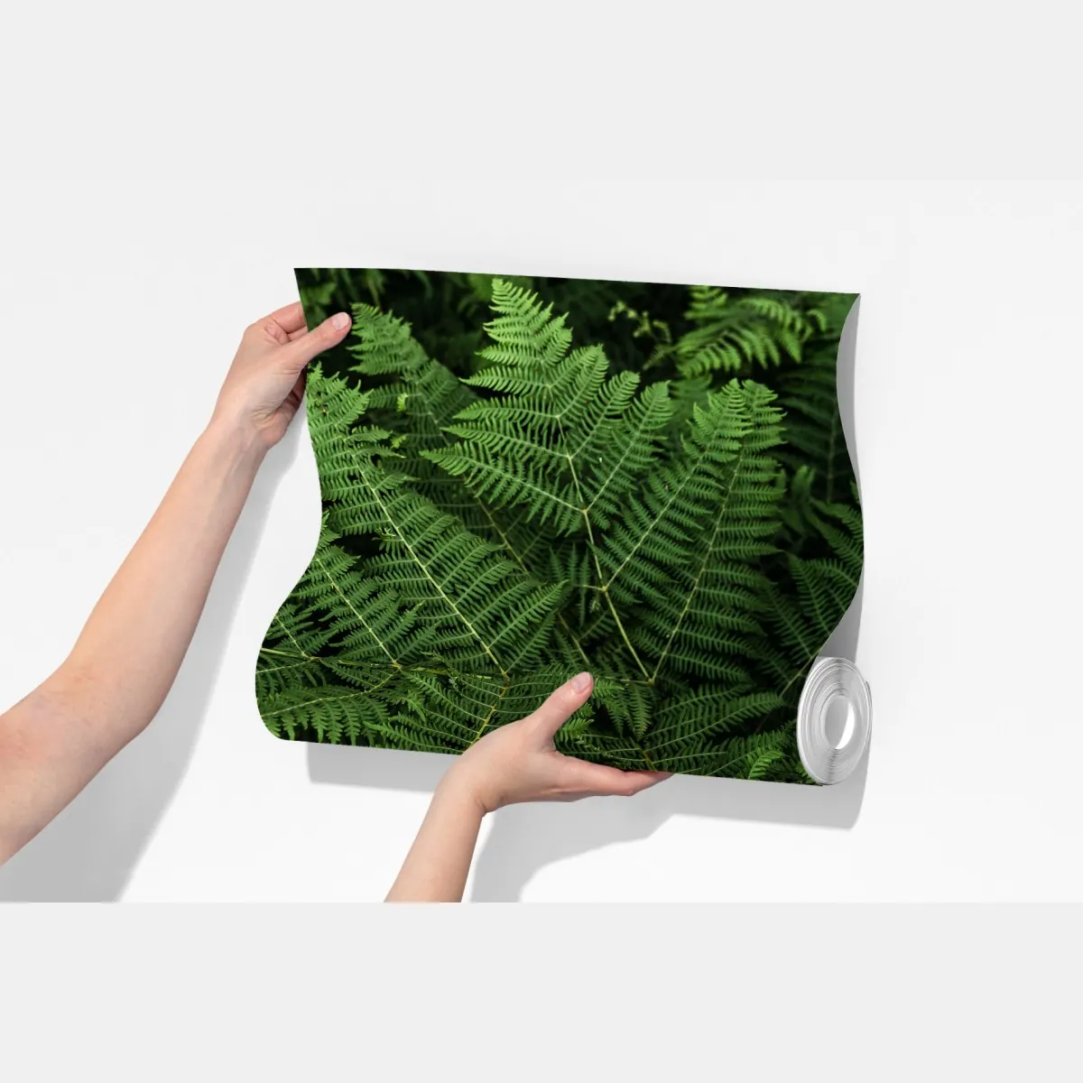 Fototapeta bujna zielona paproć – Wallissimo® Fototapeta bujna zielona paproć – Wallissimo®