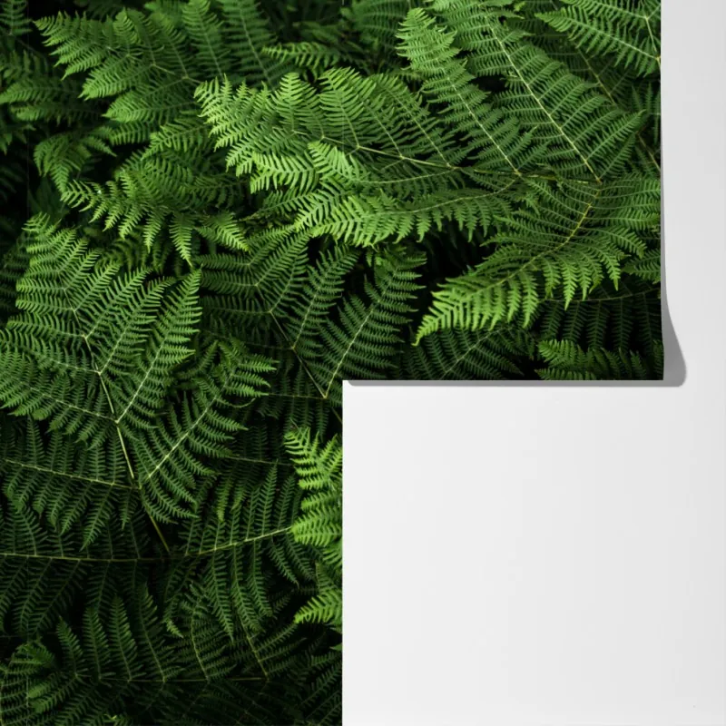 Fototapeta bujna zielona paproć – Wallissimo® Fototapeta bujna zielona paproć – Wallissimo®