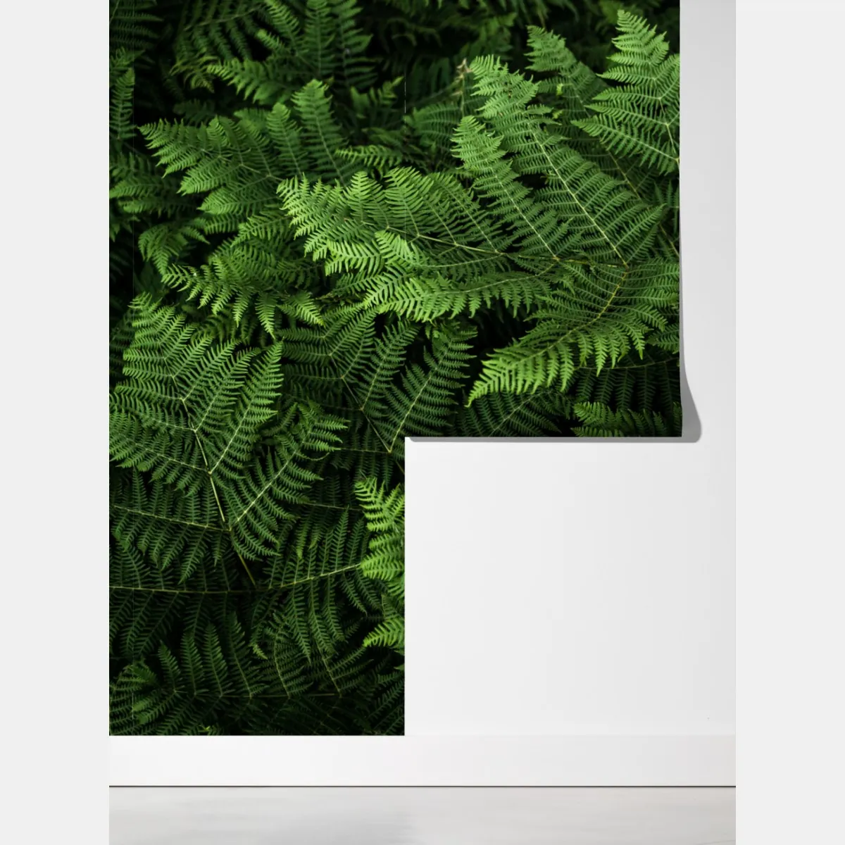 Fototapeta bujna zielona paproć – Wallissimo® Fototapeta bujna zielona paproć – Wallissimo®