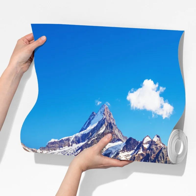 Fototapeta alpejskie jezioro z łąką pełną kwiatów – Wallissimo® Fototapeta alpejskie jezioro z łąką pełną kwiatów – Wallissimo®