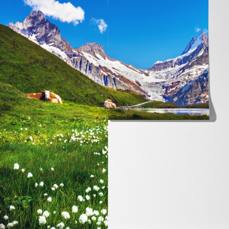 Fototapeta alpejskie jezioro z łąką pełną kwiatów – Wallissimo® Fototapeta alpejskie jezioro z łąką pełną kwiatów – Wallissimo®