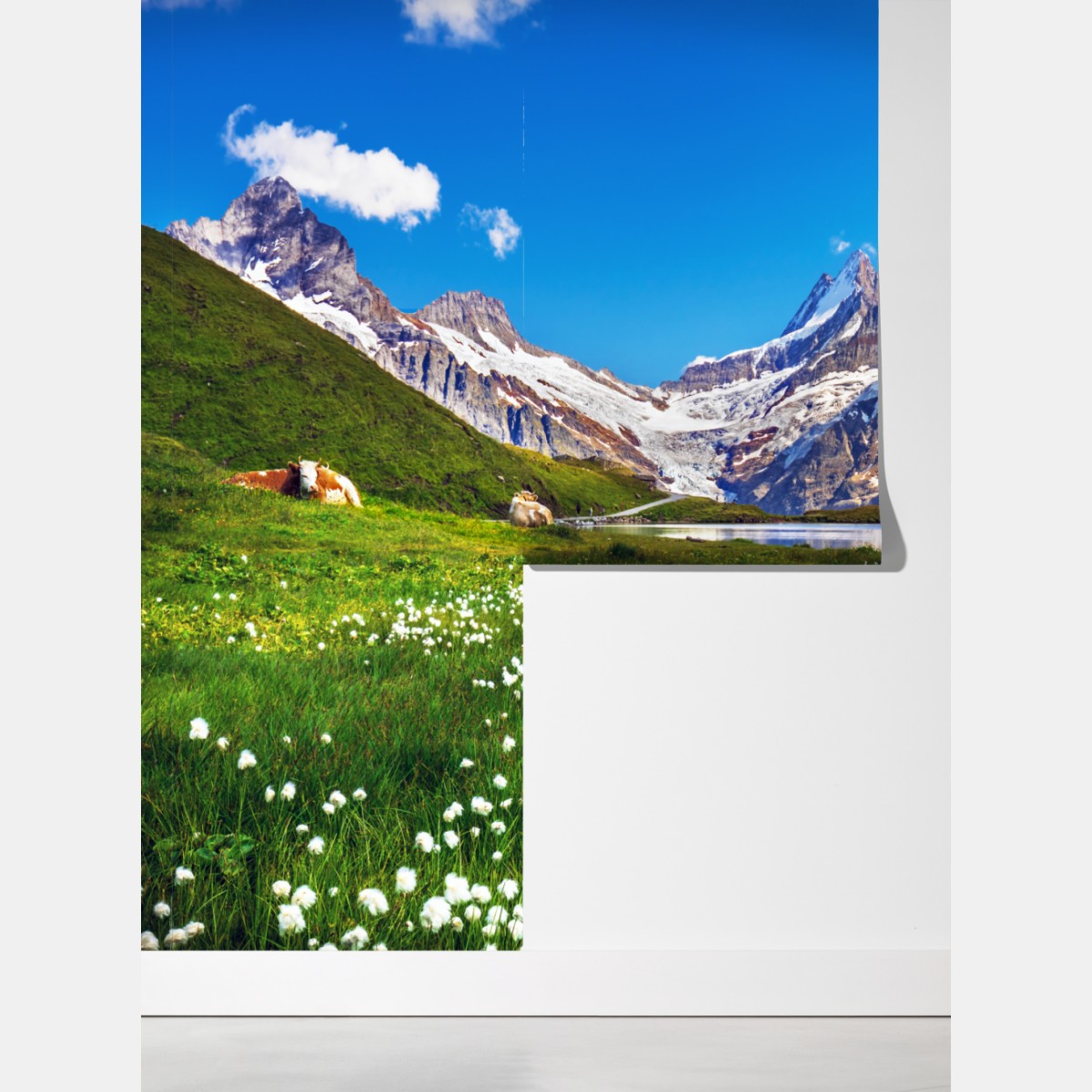 Fototapeta alpejskie jezioro z łąką pełną kwiatów – Wallissimo® Fototapeta alpejskie jezioro z łąką pełną kwiatów – Wallissimo®