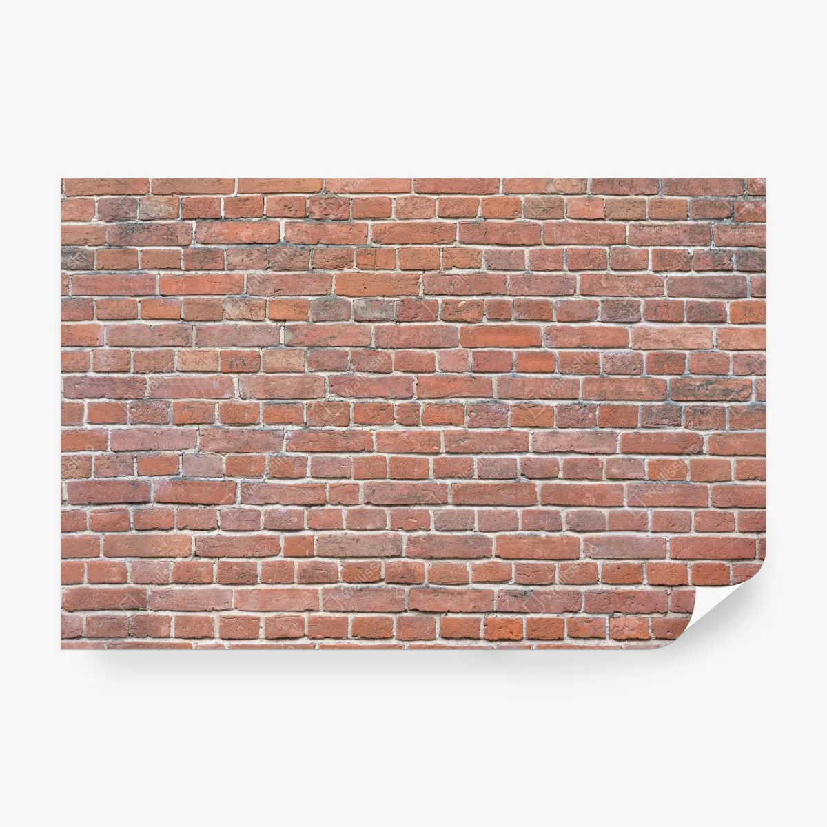 Fototapeta tekstura czerwonej cegły – Wallissimo® Fototapeta tekstura czerwonej cegły – Wallissimo®