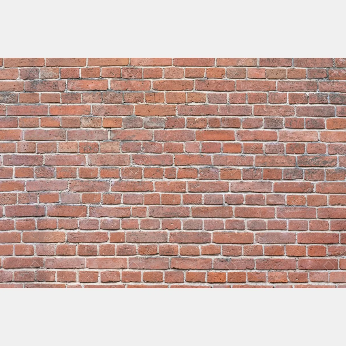 Fototapeta tekstura czerwonej cegły – Wallissimo® Fototapeta tekstura czerwonej cegły – Wallissimo®