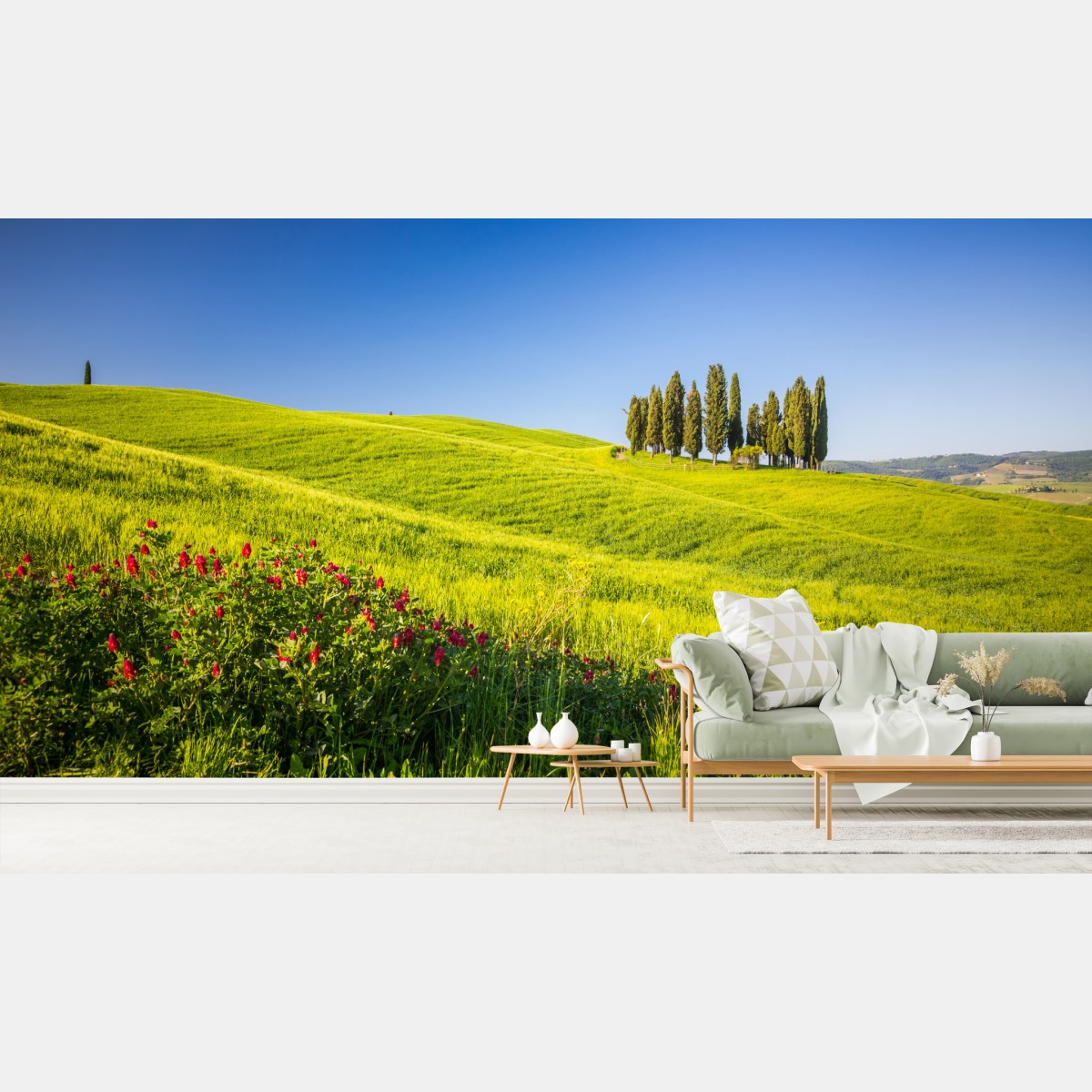 Wall mural sunlit rolling green hills with cypress trees