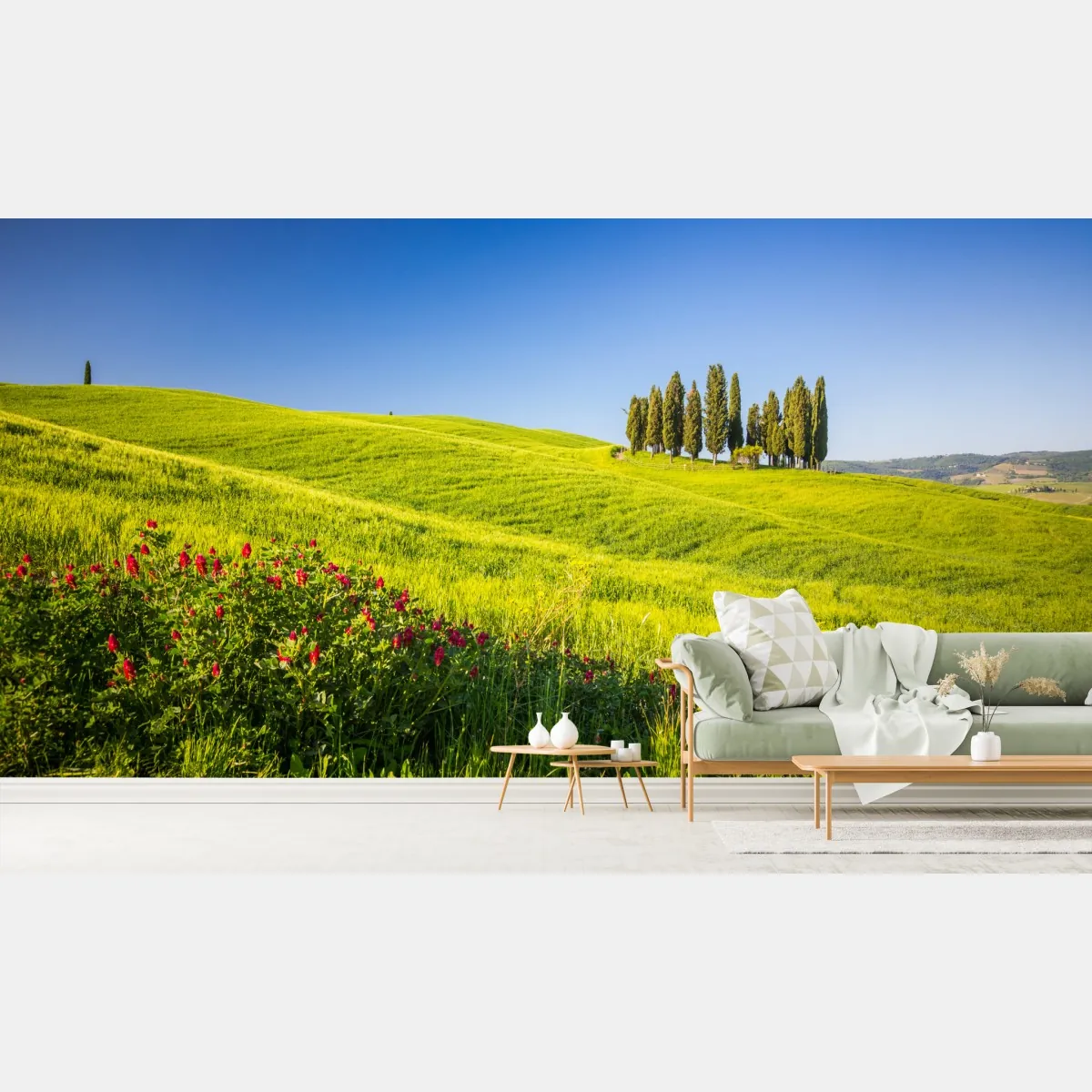 Fototapeta słoneczne zielone wzgórza z cyprysami – Wallissimo® Fototapeta słoneczne zielone wzgórza z cyprysami – Wallissimo®