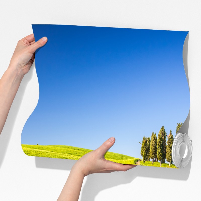 Fototapeta słoneczne zielone wzgórza z cyprysami – Wallissimo® Fototapeta słoneczne zielone wzgórza z cyprysami – Wallissimo®