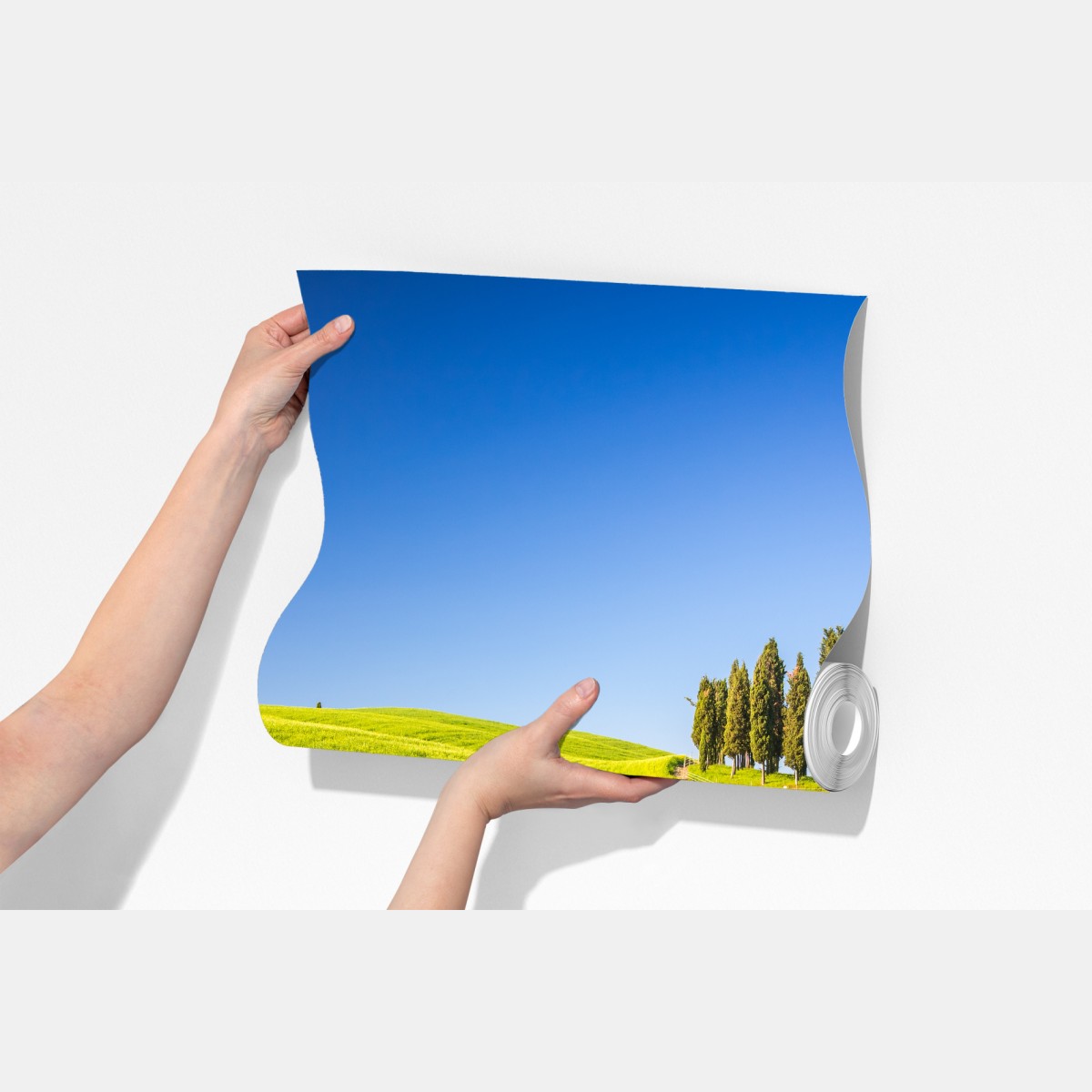 Fototapeta słoneczne zielone wzgórza z cyprysami – Wallissimo® Fototapeta słoneczne zielone wzgórza z cyprysami – Wallissimo®