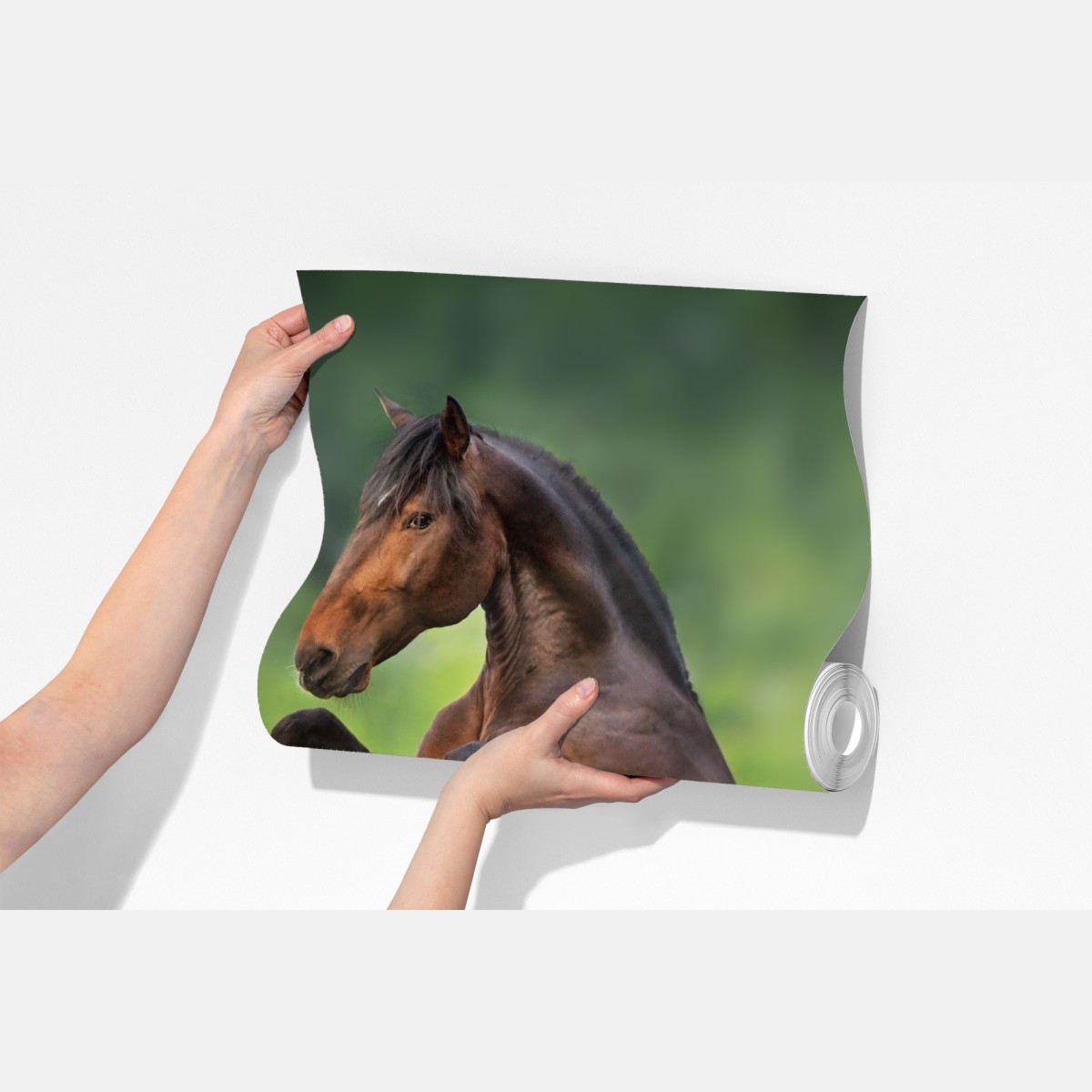 Fototapeta ogier staje dęba w łubinowej łące – Wallissimo® Fototapeta ogier staje dęba w łubinowej łące – Wallissimo®