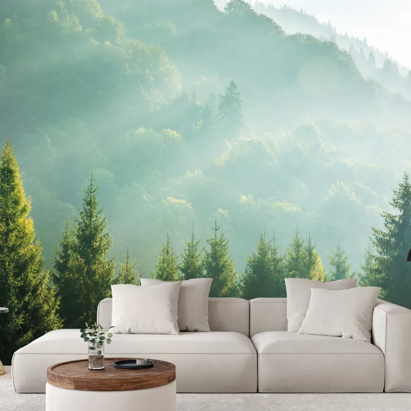 Fototapeta mglista korona świerków o poranku – Wallissimo® Fototapeta mglista korona świerków o poranku – Wallissimo®