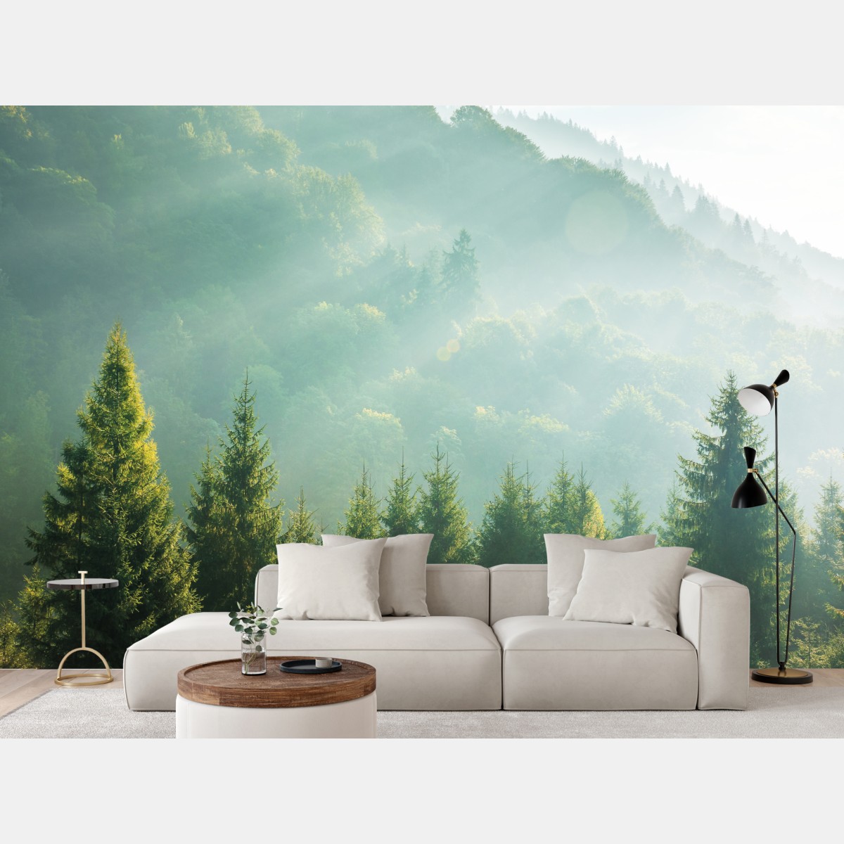 Wall mural misty spruce treetops at sunrise