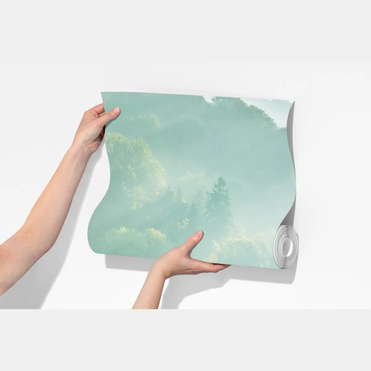 Fototapeta mglista korona świerków o poranku – Wallissimo® Fototapeta mglista korona świerków o poranku – Wallissimo®