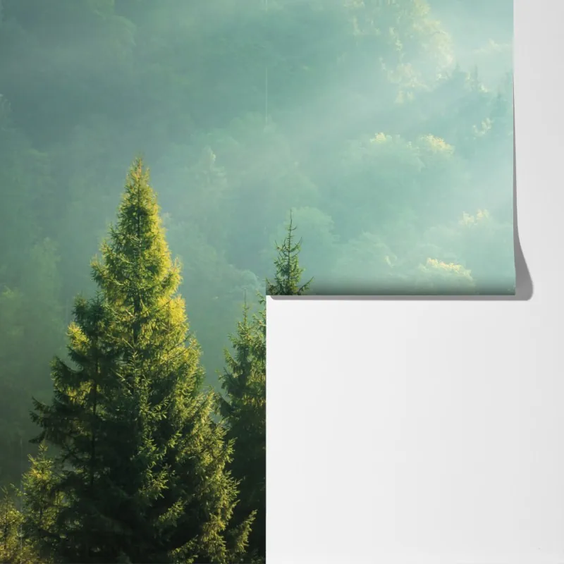 Fototapeta mglista korona świerków o poranku – Wallissimo® Fototapeta mglista korona świerków o poranku – Wallissimo®