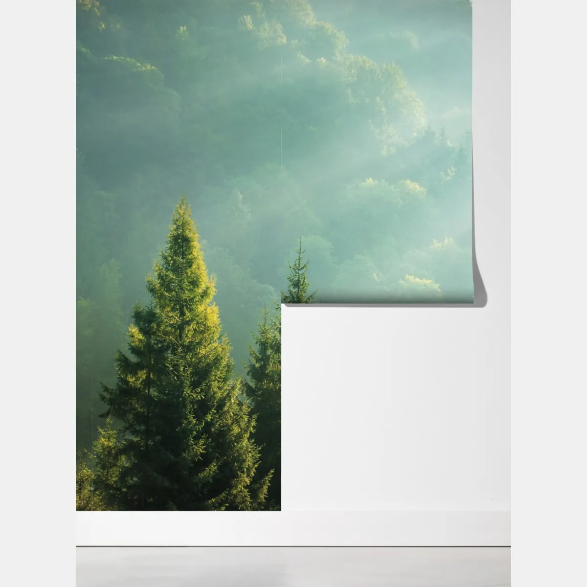 Fototapeta mglista korona świerków o poranku – Wallissimo® Fototapeta mglista korona świerków o poranku – Wallissimo®