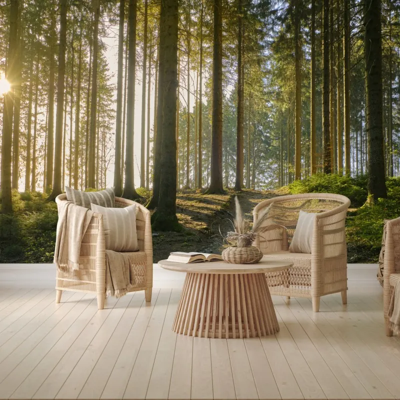 Fototapeta słoneczna leśna ścieżka o świcie