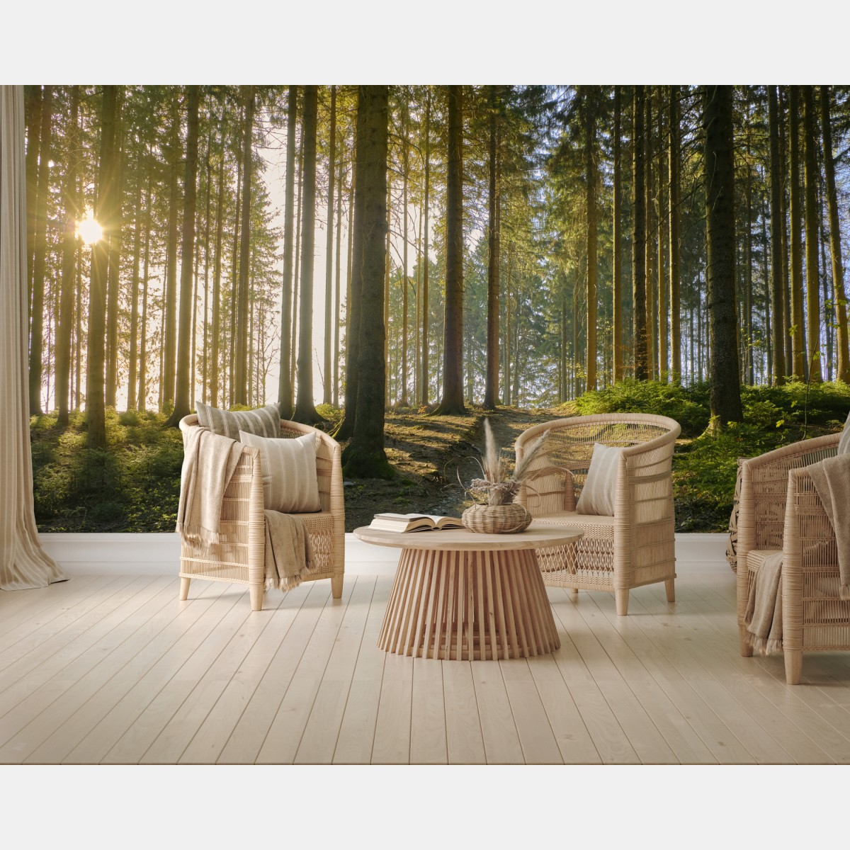 Wall mural sunlit forest trail at dawn