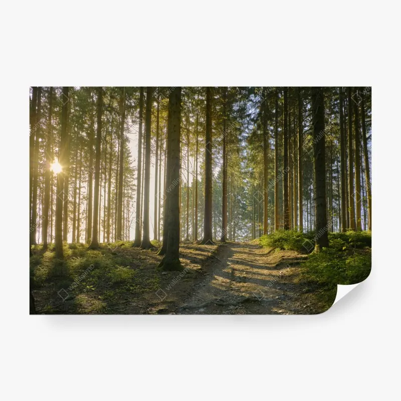 Fototapeta kolorowy abstrakcyjny portret twarzy – Wallissimo®