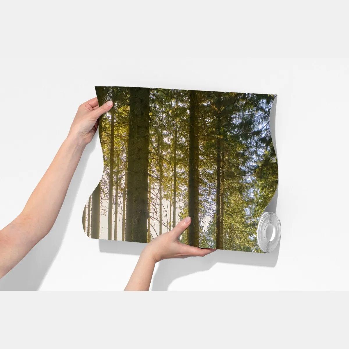 Fototapeta słoneczna leśna ścieżka o świcie – Wallissimo® Fototapeta słoneczna leśna ścieżka o świcie – Wallissimo®