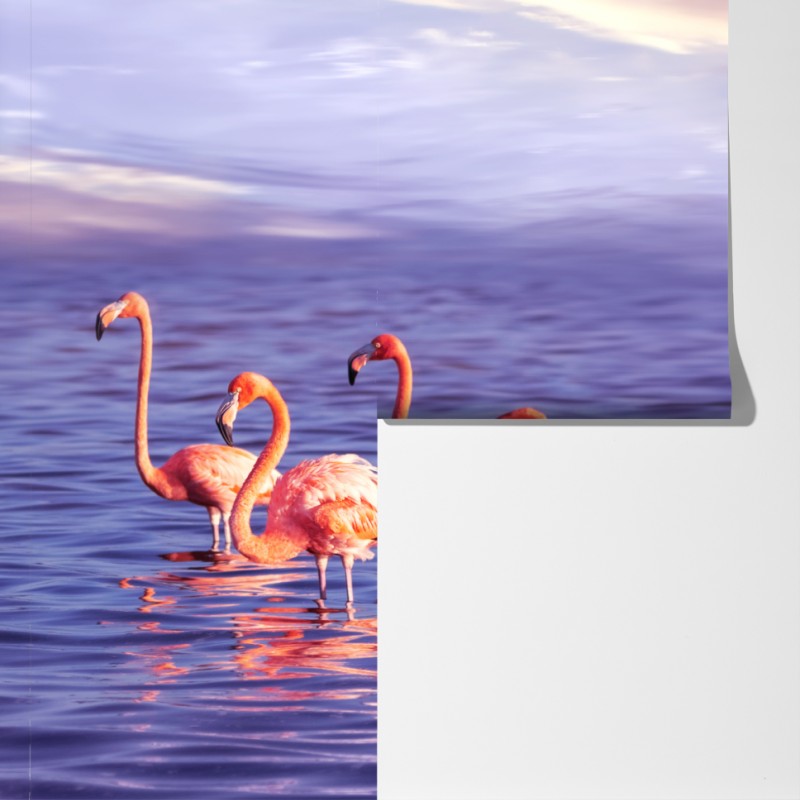 Fototapeta różowe flamingi w fioletowym zachodzie słońca – Wallissimo® Fototapeta różowe flamingi w fioletowym zachodzie słońca – Wallissimo®