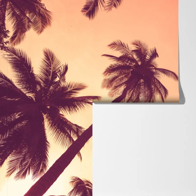 Fototapeta tropikalne palmy o zachodzie słońca – Wallissimo® Fototapeta tropikalne palmy o zachodzie słońca – Wallissimo®