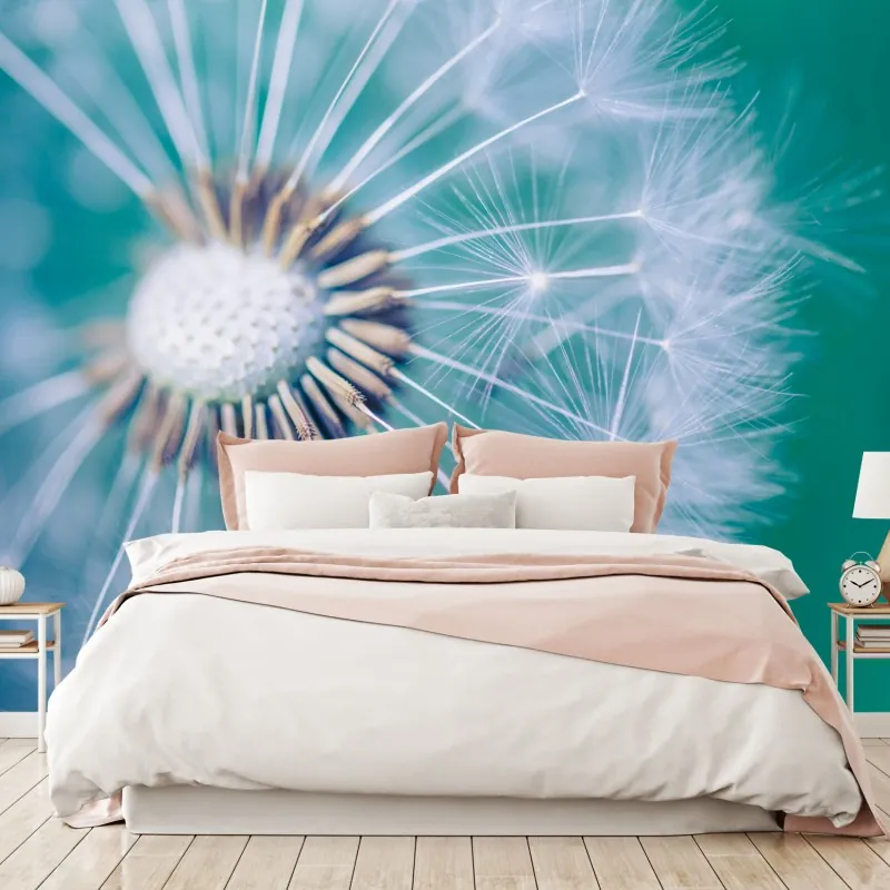 Fototapeta turkusowy dmuchawiec z bliska