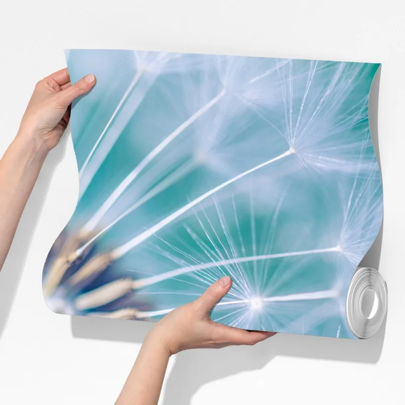 Fototapeta turkusowy dmuchawiec z bliska – Wallissimo® Fototapeta turkusowy dmuchawiec z bliska – Wallissimo®