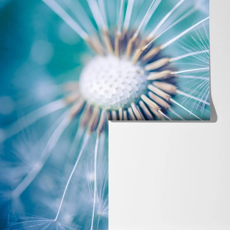 Fototapeta turkusowy dmuchawiec z bliska – Wallissimo® Fototapeta turkusowy dmuchawiec z bliska – Wallissimo®