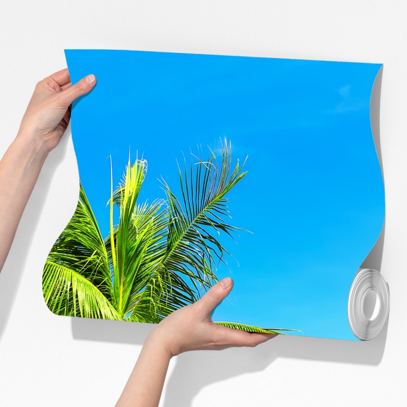 Fototapeta tropikalna palma w Punta Cana – Wallissimo® Fototapeta tropikalna palma w Punta Cana – Wallissimo®