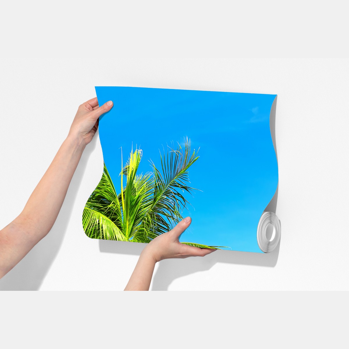 Fototapeta tropikalna palma w Punta Cana – Wallissimo® Fototapeta tropikalna palma w Punta Cana – Wallissimo®