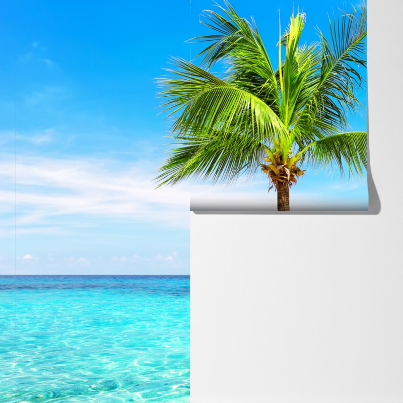 Fototapeta tropikalna palma w Punta Cana – Wallissimo® Fototapeta tropikalna palma w Punta Cana – Wallissimo®