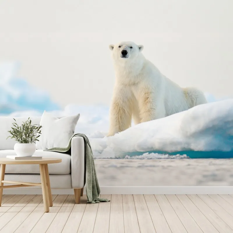 Fototapeta niedźwiedź polarny na lodzie, Svalbard