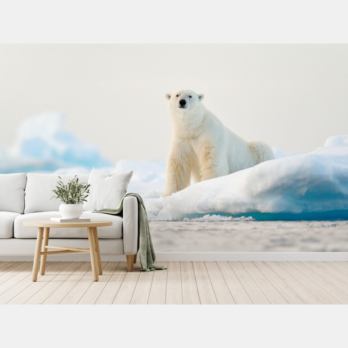 Wall mural polar bear on Arctic ice, Svalbard