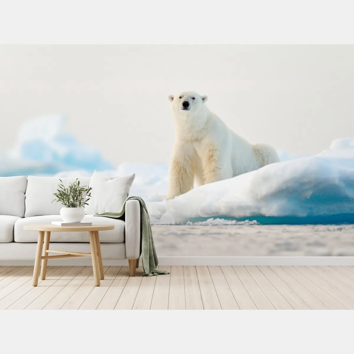 Fototapeta niedźwiedź polarny na lodzie, Svalbard – Wallissimo® Fototapeta niedźwiedź polarny na lodzie, Svalbard – Wallissimo®