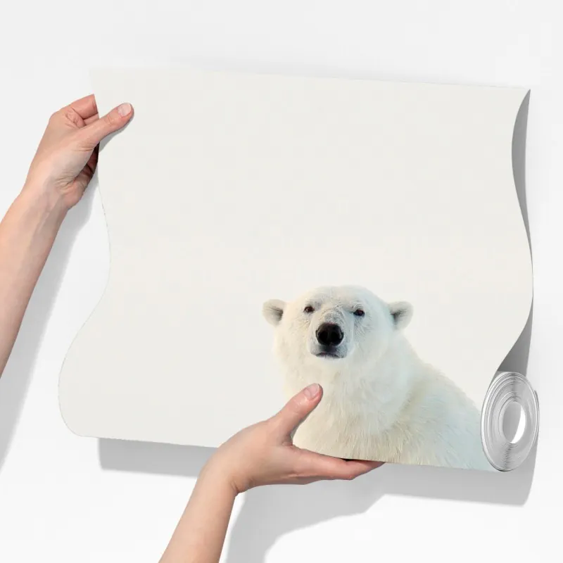 Fototapeta niedźwiedź polarny na lodzie, Svalbard – Wallissimo® Fototapeta niedźwiedź polarny na lodzie, Svalbard – Wallissimo®