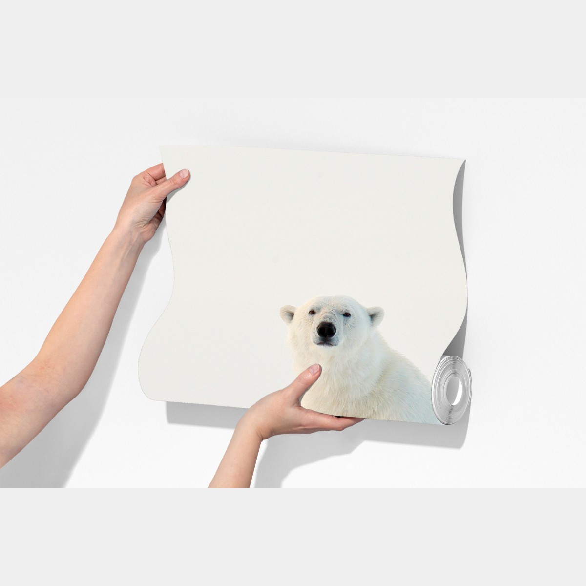 Fototapeta niedźwiedź polarny na lodzie, Svalbard – Wallissimo® Fototapeta niedźwiedź polarny na lodzie, Svalbard – Wallissimo®