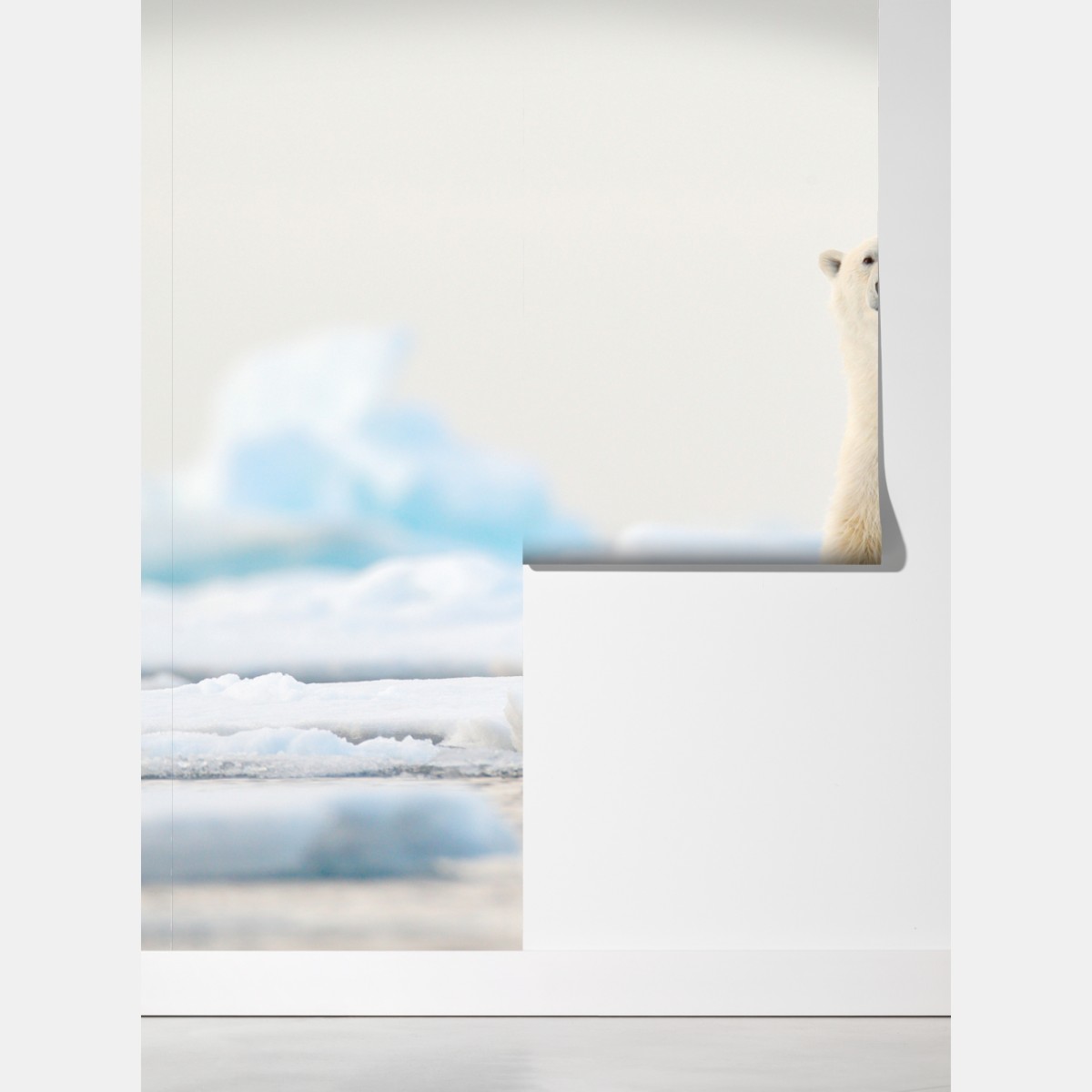 Fototapeta niedźwiedź polarny na lodzie, Svalbard – Wallissimo® Fototapeta niedźwiedź polarny na lodzie, Svalbard – Wallissimo®