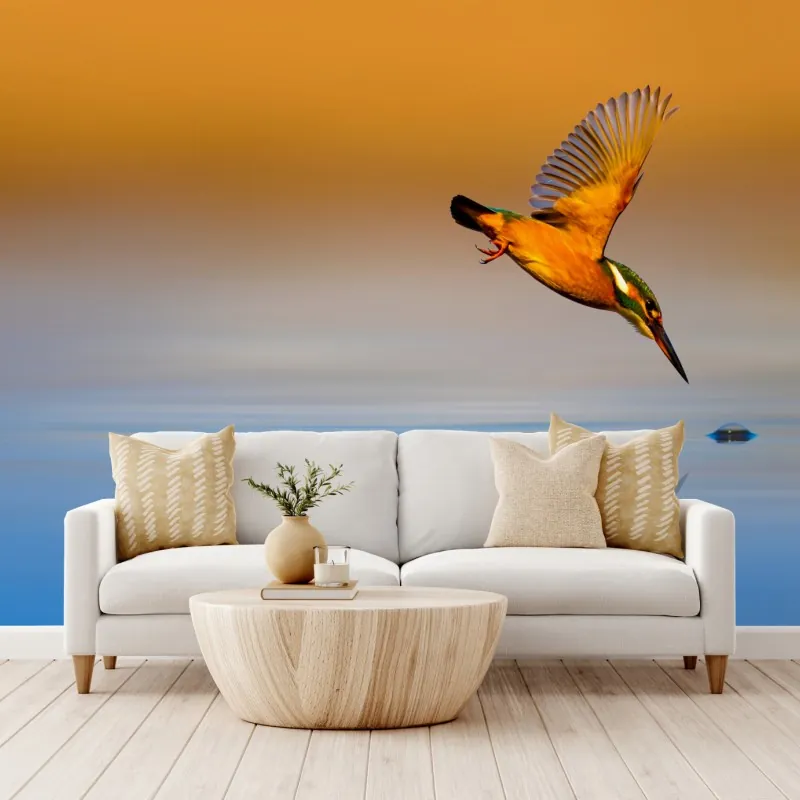 Fototapeta zimorodek nurkujący nad wodą – Wallissimo® Fototapeta zimorodek nurkujący nad wodą – Wallissimo®