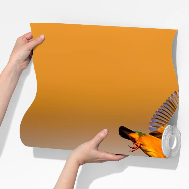 Fototapeta zimorodek nurkujący nad wodą – Wallissimo® Fototapeta zimorodek nurkujący nad wodą – Wallissimo®