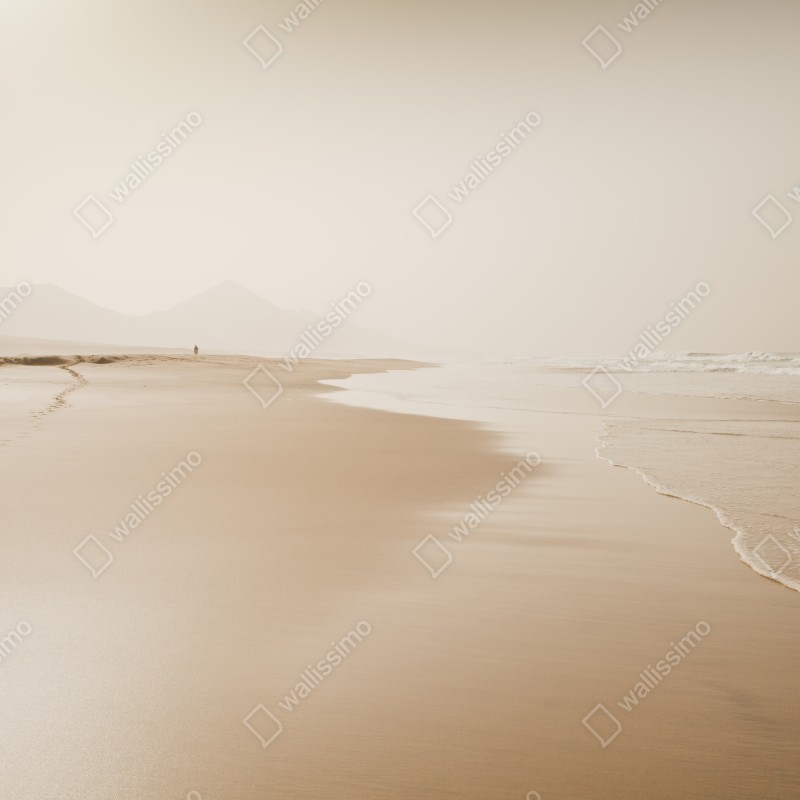 Fototapeta spokojna sepiowa plaża – Wallissimo® Fototapeta spokojna sepiowa plaża – Wallissimo®