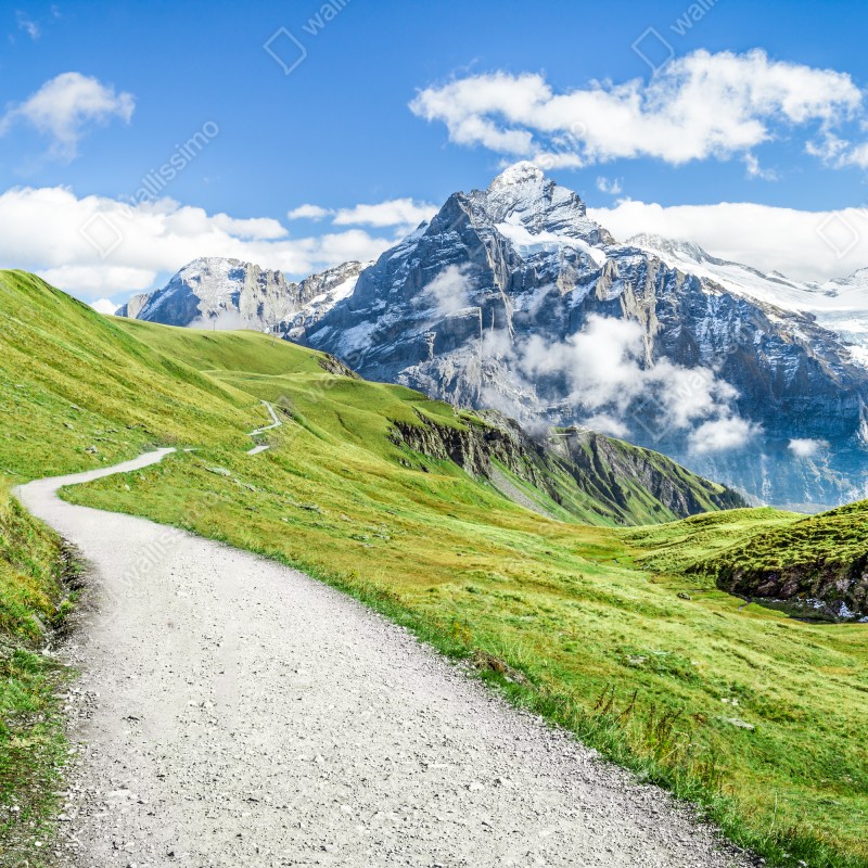 Fototapeta alpejska ścieżka w górach – Wallissimo® Fototapeta alpejska ścieżka w górach – Wallissimo®