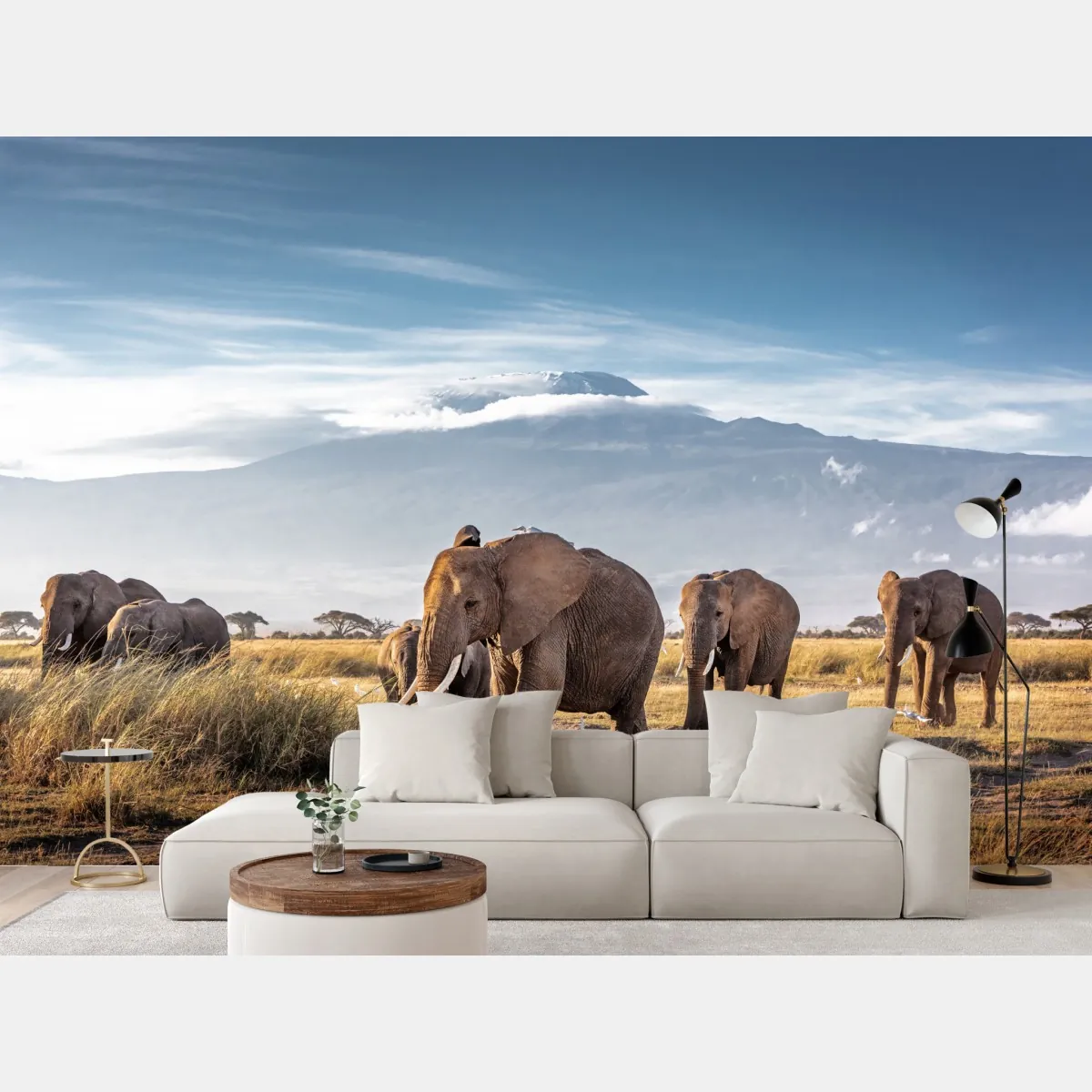 Fototapeta stado słoni przed Kilimandżaro – Wallissimo® Fototapeta stado słoni przed Kilimandżaro – Wallissimo®