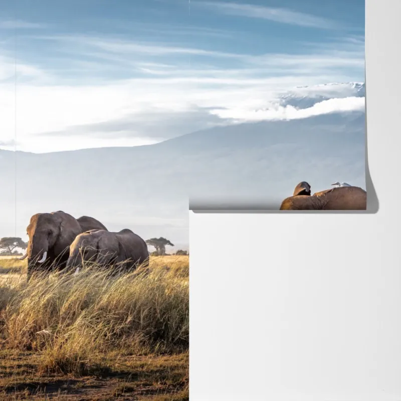 Fototapeta stado słoni przed Kilimandżaro – Wallissimo® Fototapeta stado słoni przed Kilimandżaro – Wallissimo®