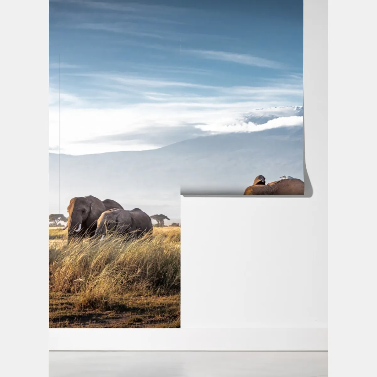 Fototapeta stado słoni przed Kilimandżaro – Wallissimo® Fototapeta stado słoni przed Kilimandżaro – Wallissimo®