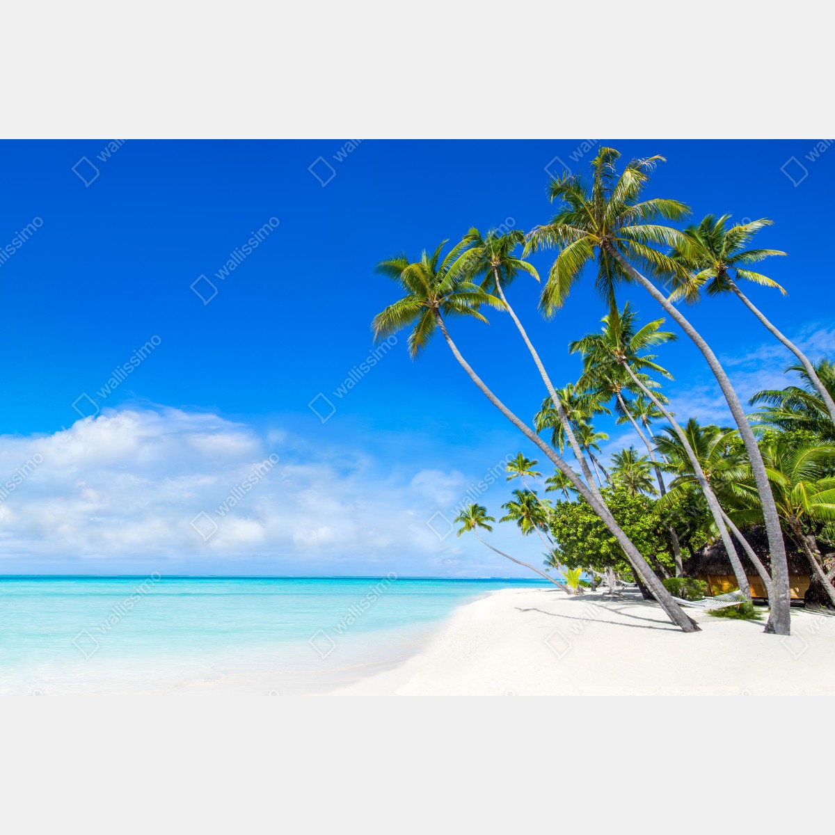 Fototapeta tropikalna plaża z palmami – Wallissimo® Fototapeta tropikalna plaża z palmami – Wallissimo®