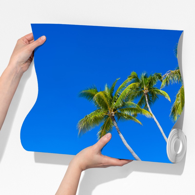 Fototapeta tropikalna plaża z palmami – Wallissimo® Fototapeta tropikalna plaża z palmami – Wallissimo®