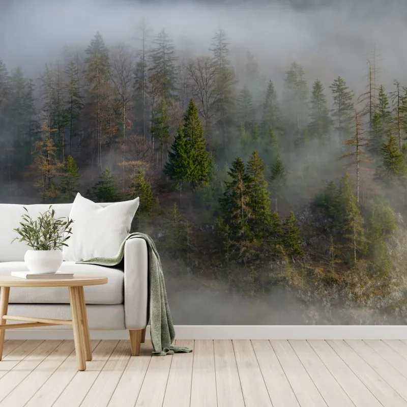 Fototapeta mglisty górski las – Wallissimo® Fototapeta mglisty górski las – Wallissimo®