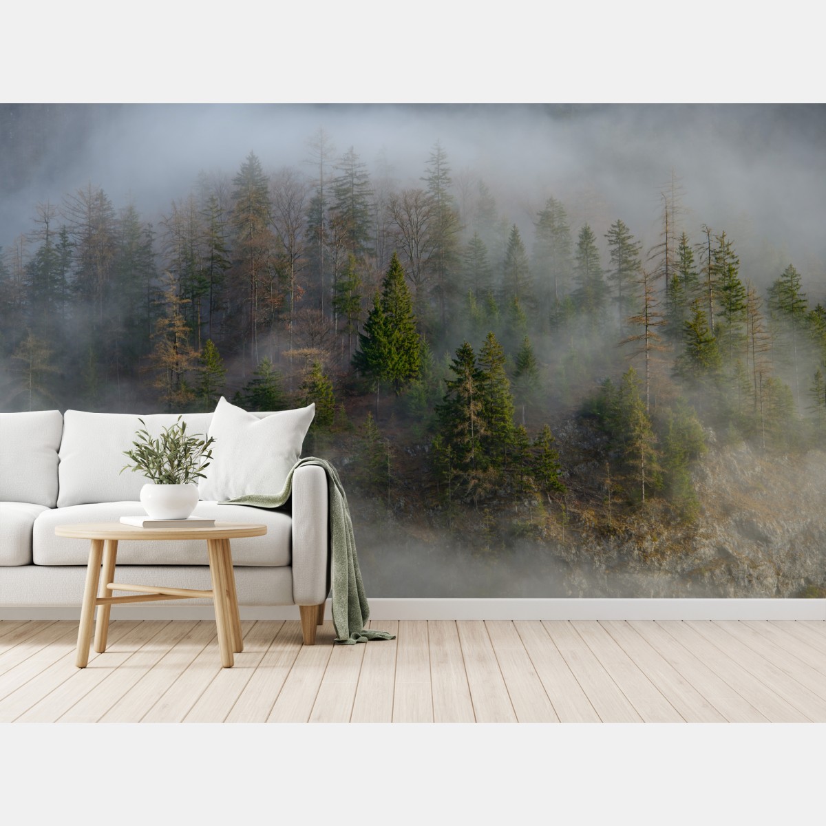 Wall mural misty mountain forest