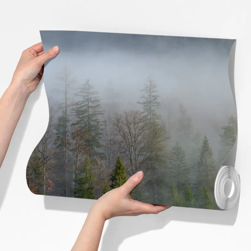 Fototapeta mglisty górski las – Wallissimo® Fototapeta mglisty górski las – Wallissimo®