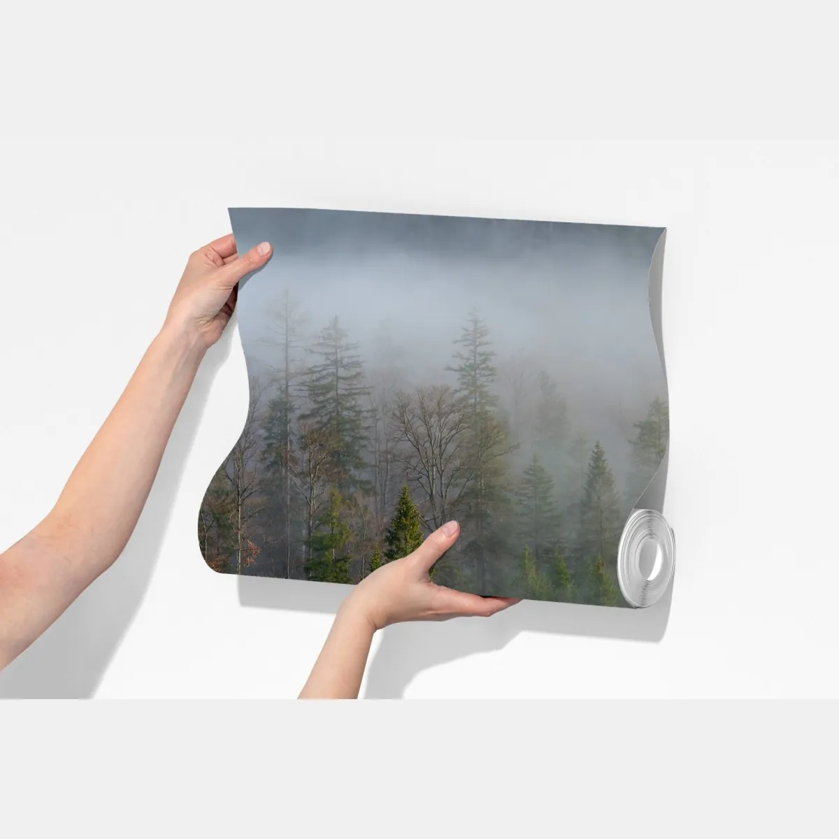 Fototapeta mglisty górski las – Wallissimo® Fototapeta mglisty górski las – Wallissimo®